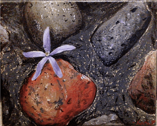 Screen Shot 2019-02-03 at 7.52.25 PM