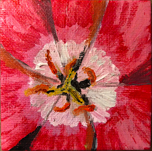 Screen Shot 2019-07-28 at 11.58.32 PM.png