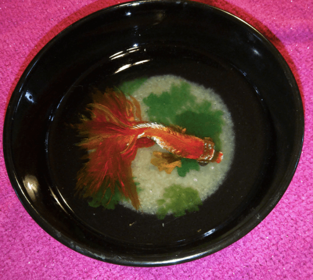 Screen Shot 2019-08-14 at 11.15.54 PM