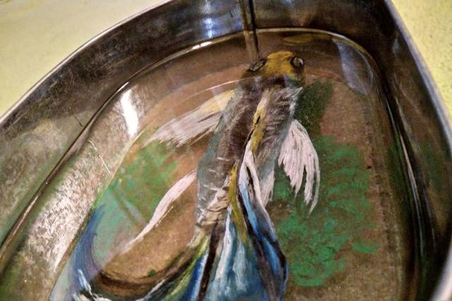 il_794xN.2055896919_bgy0